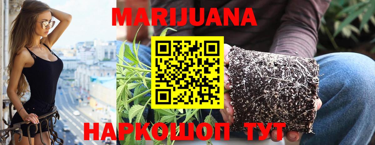 Беслан  Бошки Шишки гибрид  Марихуана OG Kush  Вход с VPN  Конопля индика 