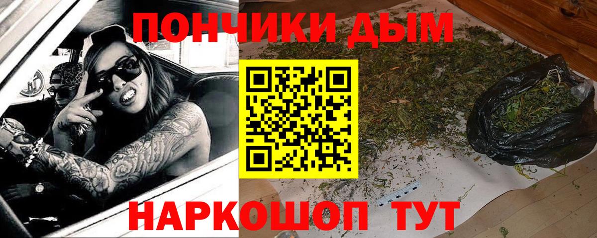 Бошки марихуана конопля Беслан